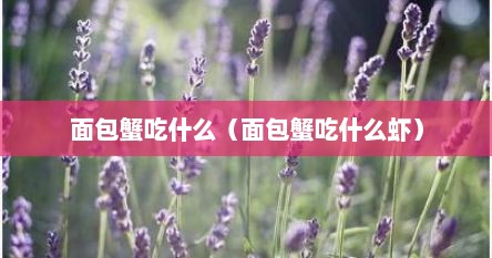 面包蟹是不是不好吃（面包蟹吃饭）