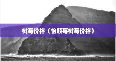树莓价格（怡颗莓树莓价格）
