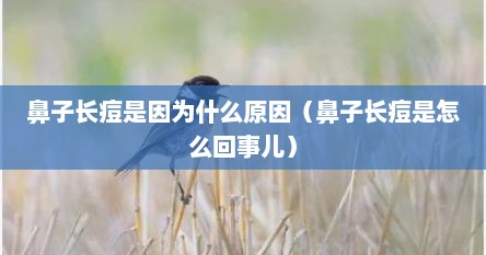 鼻子长痘是因为什么原因（鼻子长痘是怎么回事儿）