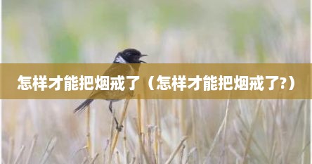 怎样才能把烟戒了（怎样才能把烟戒了?）
