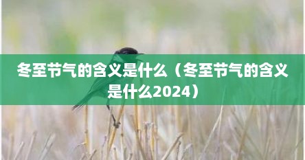 冬至节气的含义是什么（冬至节气的含义是什么2024）