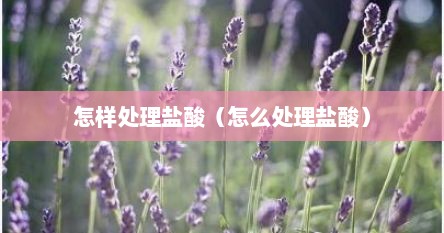 怎样处理盐酸（怎么处理盐酸）
