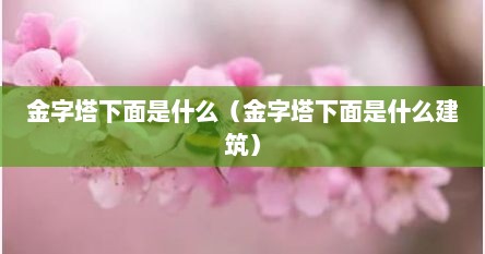 金字塔下面是什么（金字塔下面是什么建筑）