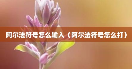 阿尔法符号怎么输入（阿尔法符号怎么打）