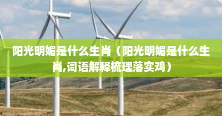 阳光明媚是什么生肖（阳光明媚是什么生肖,词语解释梳理落实鸡）