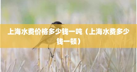 上海水费价格多少钱一吨（上海水费多少钱一顿）