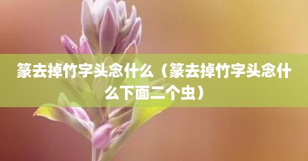 篆去掉竹字头念什么（篆去掉竹字头念什么下面二个虫）