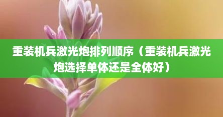 重装机兵激光炮排列顺序（重装机兵激光炮选择单体还是全体好）