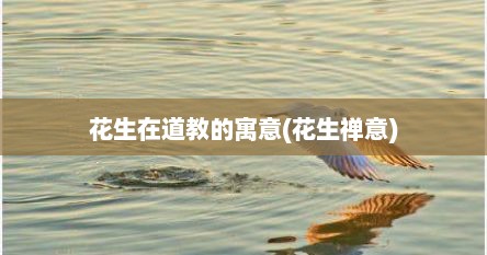 花生在道教的寓意(花生禅意)