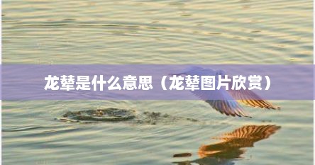 龙辇是什么意思（龙辇图片欣赏）