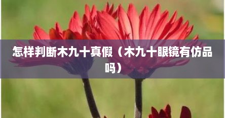 怎样判断木九十真假（木九十眼镜有仿品吗）