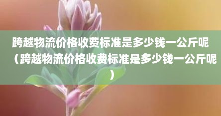 跨越物流价格收费标准是多少钱一公斤呢(跨越物流价格收费标准是多少钱一公斤呢)