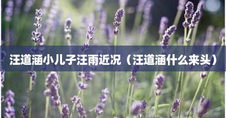 汪道涵小儿子汪雨近况（汪道涵什么来头）