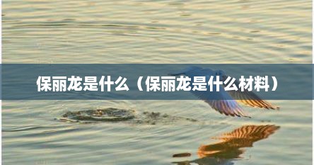 保丽龙是什么（保丽龙是什么材料）