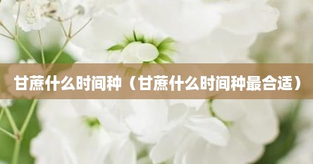 甘蔗什么时间种（甘蔗什么时间种最合适）