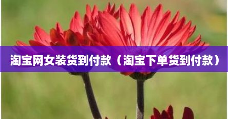 淘宝网女装货到付款（淘宝下单货到付款）