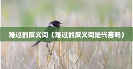 难过的反义词（难过的反义词是兴奋吗）