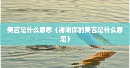 美言是什么意思（谢谢你的美言是什么意思）