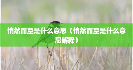悄然而至是什么意思（悄然而至是什么意思解释）