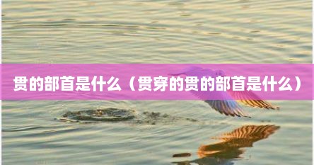 贯的部首是什么（贯穿的贯的部首是什么）