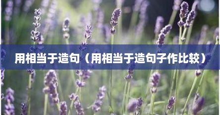 用相当于造句（用相当于造句子作比较）