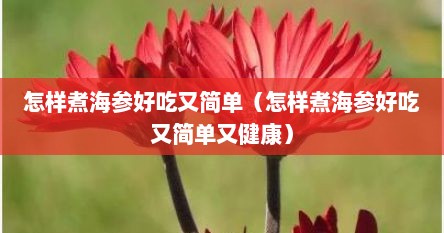 怎样煮海参好吃又简单（怎样煮海参好吃又简单又健康）