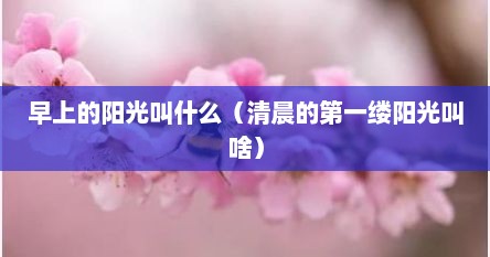 早上的阳光叫什么（清晨的第一缕阳光叫啥）