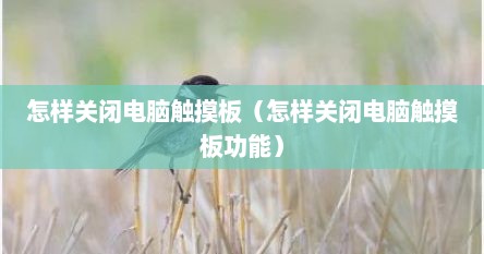 怎样关闭电脑触摸板（怎样关闭电脑触摸板功能）