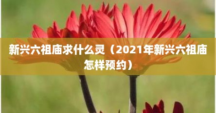 新兴六祖庙求什么灵（2021年新兴六祖庙怎样预约）