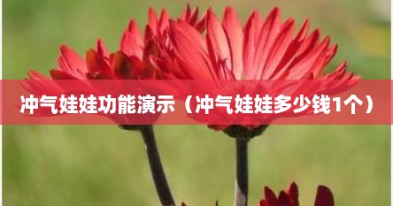 冲气娃娃功能演示（冲气娃娃多少钱1个）