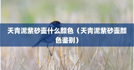 天青泥紫砂壶颜色偏青色（天青泥紫砂壶怎么辨别）