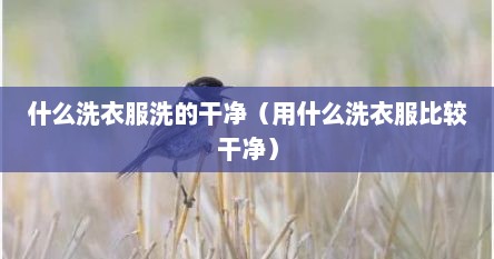 什么洗衣服洗的干净（用什么洗衣服比较干净）