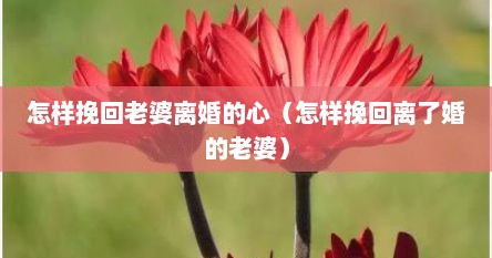 怎样挽回老婆离婚的心（怎样挽回离了婚的老婆）