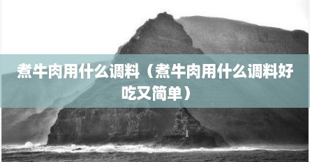 煮牛肉用什么调料（煮牛肉用什么调料好吃又简单）