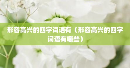 形容高兴的四字词语有（形容高兴的四字词语有哪些）