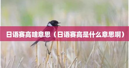 日语赛高啥意思（日语赛高是什么意思啊）