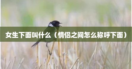 女生下面叫什么（情侣之间怎么称呼下面）