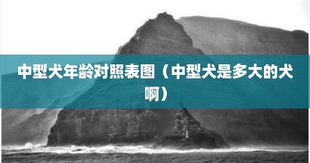 中型犬的年龄怎么算（中型犬的标准）