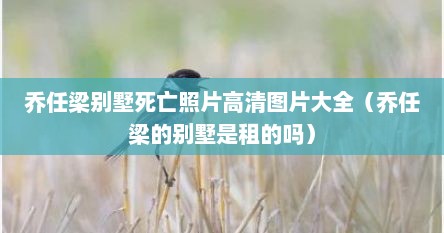 乔任梁别墅死亡照片高清图片大全（乔任梁的别墅是租的吗）