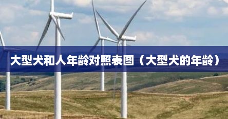 大型犬和人年龄对照表图（大型犬的年龄）