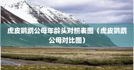 虎皮鹦鹉公母年龄头对照表图（虎皮鹦鹉公母对比图）