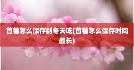 苜蓿怎么保存到冬天吃(苜蓿怎么保存时间最长)