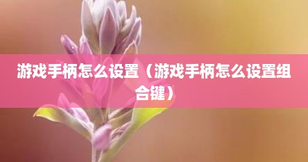 游戏手柄怎么设置（游戏手柄怎么设置组合键）