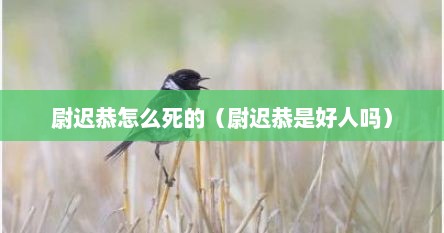 尉迟恭怎么死的（尉迟恭是好人吗）
