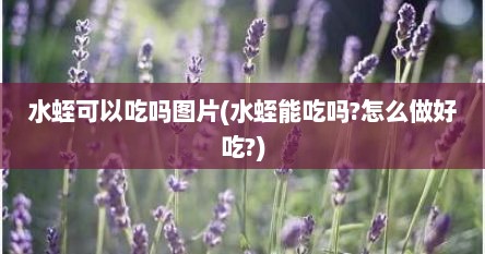 水蛭可以吃吗图片(水蛭能吃吗?怎么做好吃?)