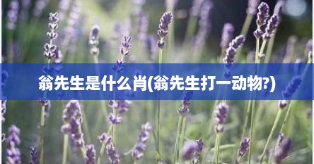 翁先生是什么肖(翁先生打一动物?)