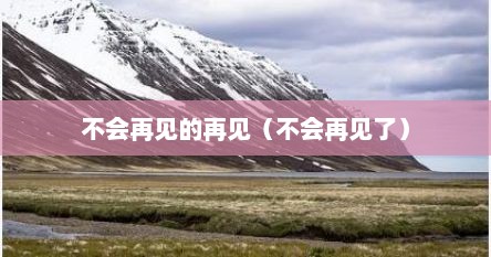 不会再见的再见（不会再见了）