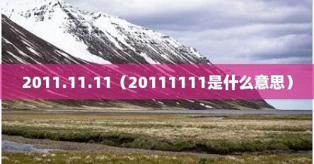 2011.11.11（20111111是什么意思）