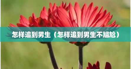 怎样追到男生（怎样追到男生不尴尬）