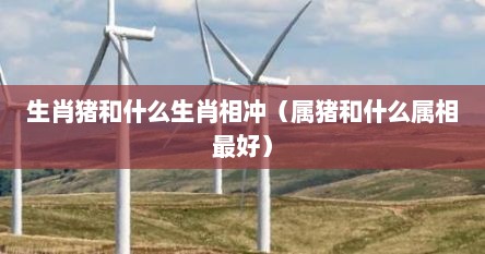 生肖猪和什么生肖相冲（属猪和什么属相最好）